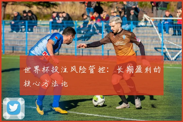 世界杯投注风险管控：长期盈利的核心方法论