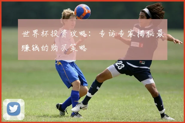 世界杯投资攻略：专访专家揭秘最赚钱的购买策略