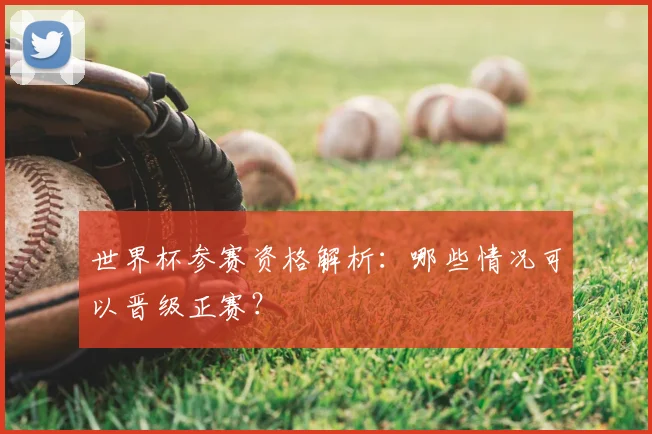 世界杯参赛资格解析:哪些情况可以晋级正赛?