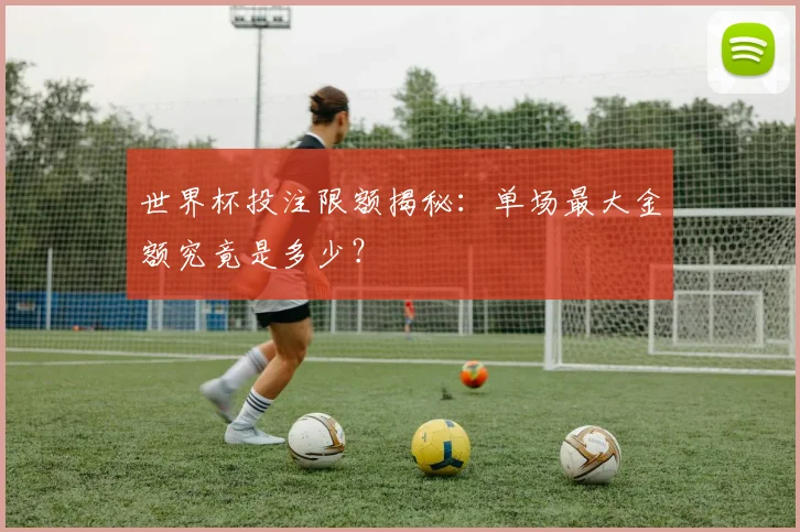 世界杯投注限额揭秘：单场最大金额究竟是多少？