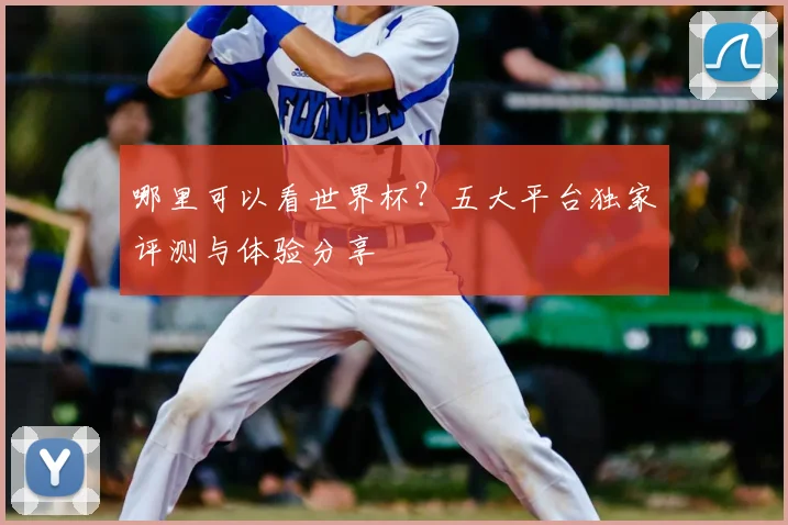 哪里可以看世界杯?五大平台独家评测与体验分享