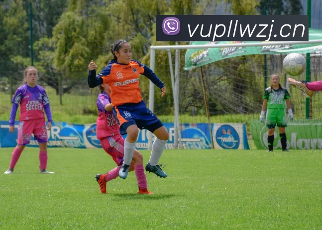 米兰体育官网登录APP 封面图